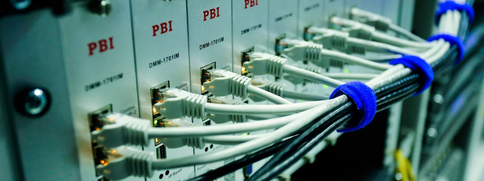 Cables de red conectados a un switch, vistos de cerca